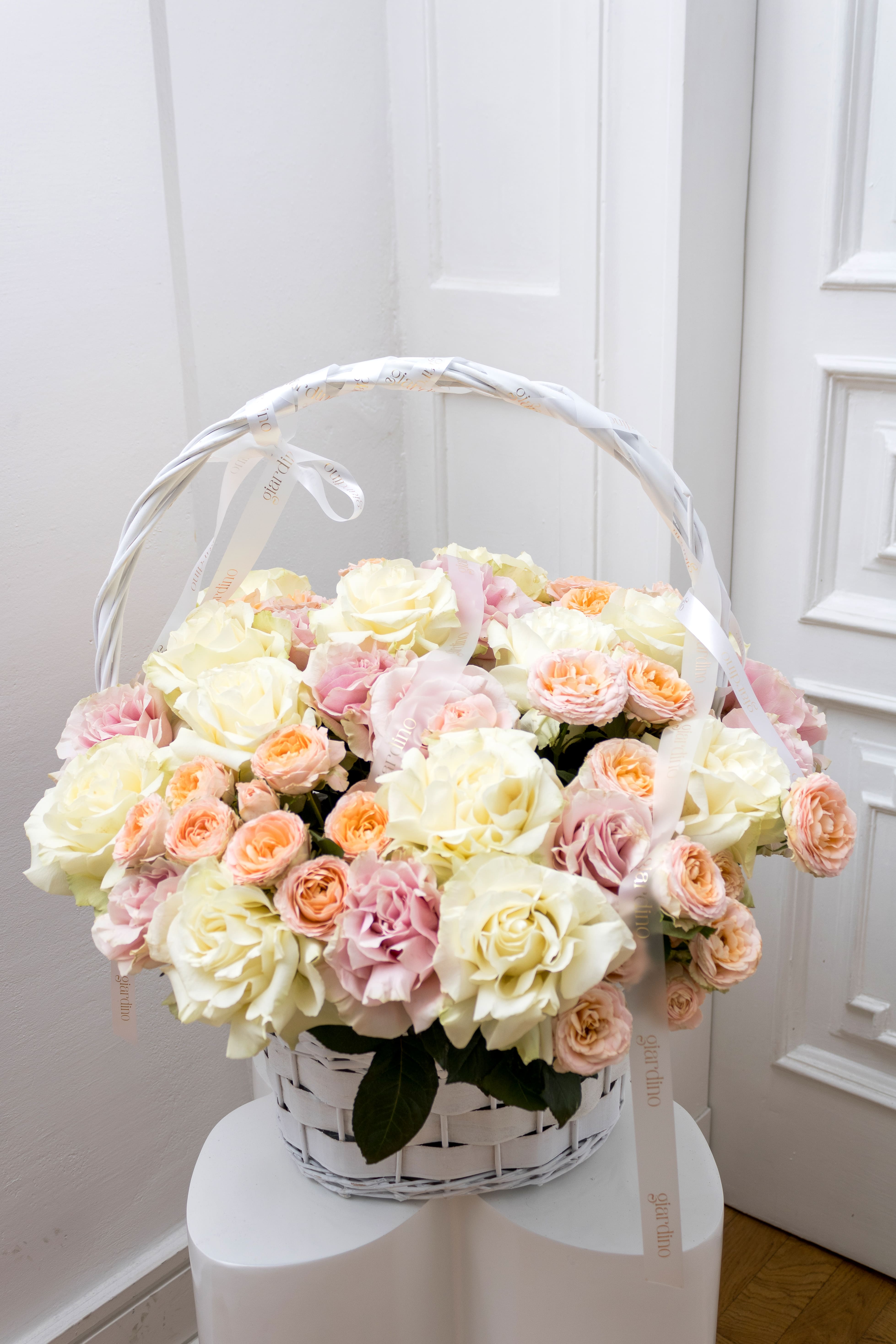 Bellezza Eternelle 1